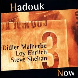 Now by Hadouk Trio