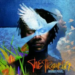 The Traveller by Baaba Maal